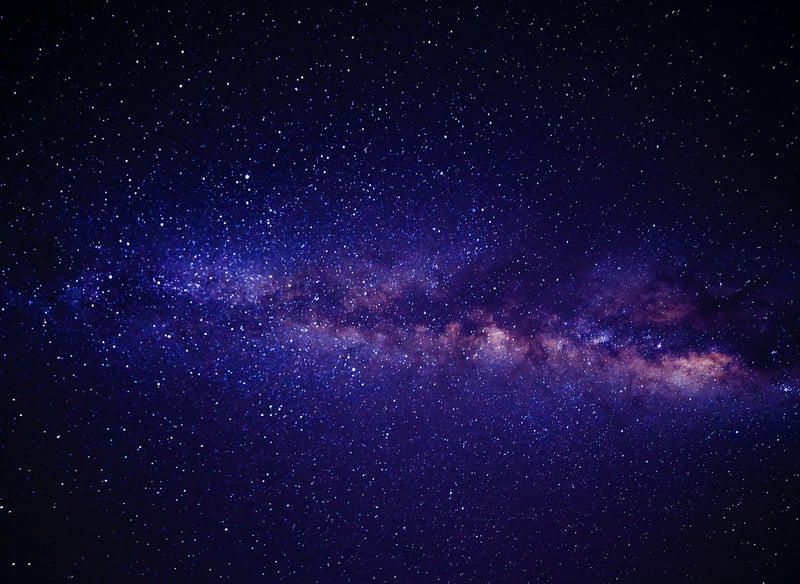 Interstellar Fauna